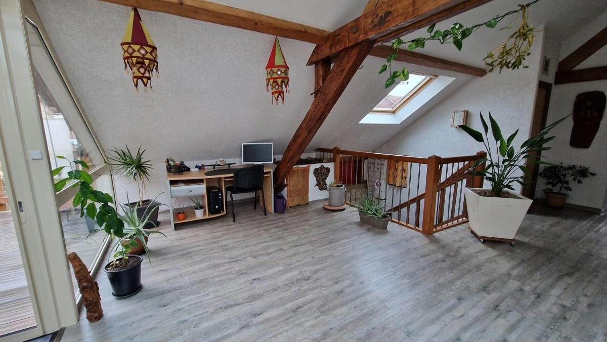 Bel Appartement 120 M² Tres Lumineux Avec Terrasse Morvillars Exterior foto